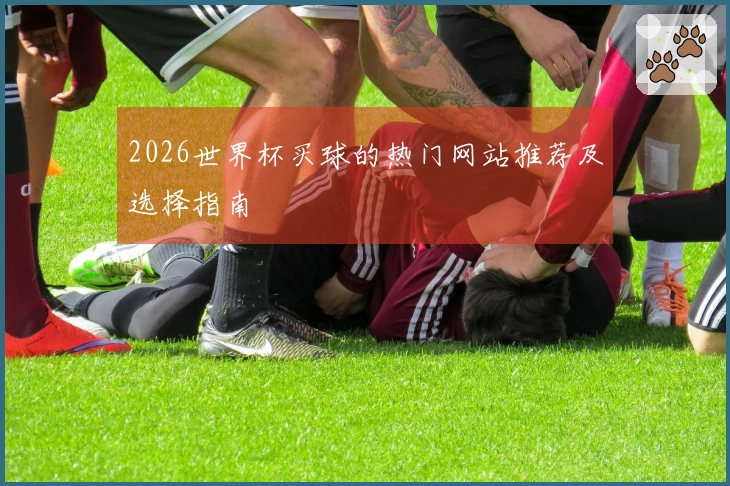 2026世界杯买球的热门网站推荐及选择指南