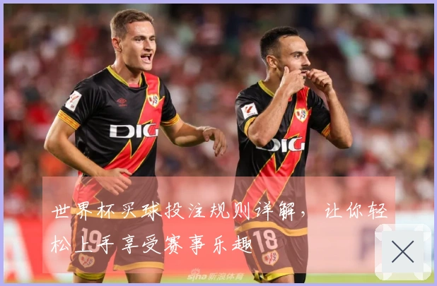 世界杯买球投注规则详解，让你轻松上手享受赛事乐趣