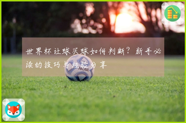 世界杯让球买球如何判断？新手必读的技巧与经验分享