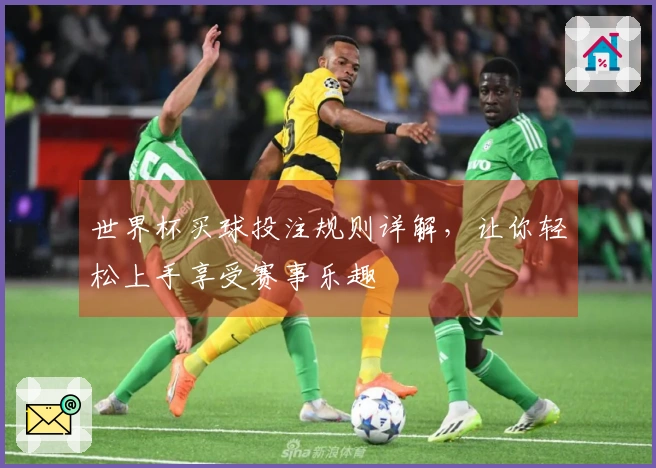 世界杯买球投注规则详解，让你轻松上手享受赛事乐趣