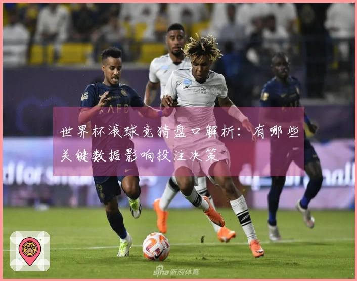 世界杯滚球竞猜盘口解析：有哪些关键数据影响投注决策
